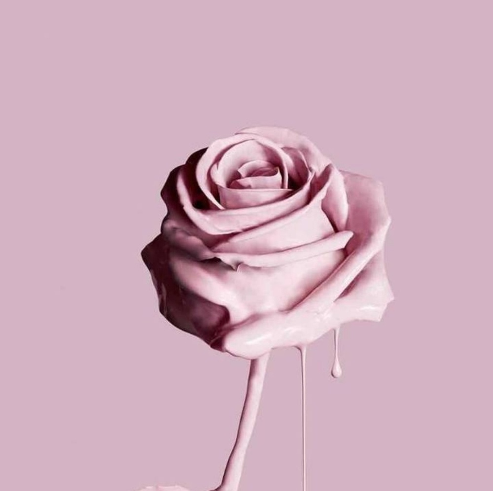 Meet your Posher, Bunny